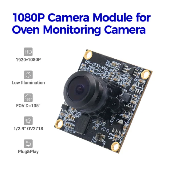 Modulo telecamera USB Full HD 1080P 30fps Ov2718 grandangolare con messa a fuoco fissa a bassa luminosità per telecamera per forno Smart Home